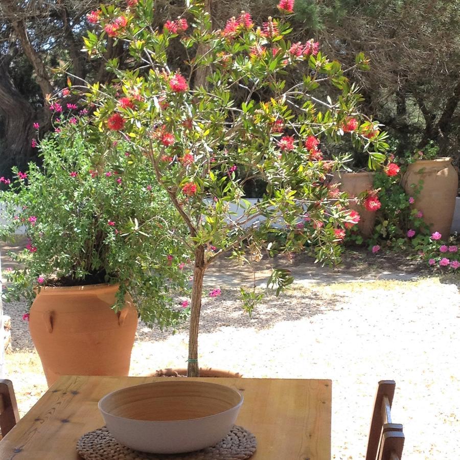 Apartamentos Laura Playa De Migjorn エクステリア 写真